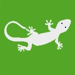Gecko_250